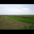 Ein Teil des Sees Lacul Bistreț